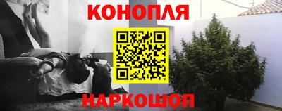 эйфоретик Новодвинск