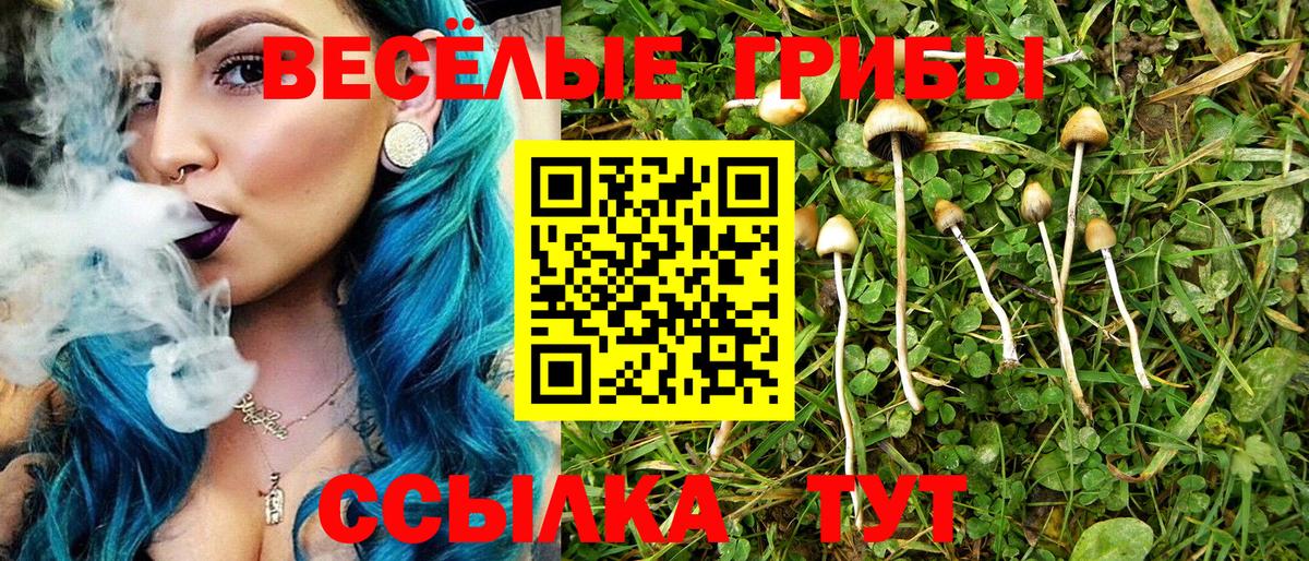 Псилоцибиновые грибы Cubensis  Вход с VPN  Галлюциногенные грибы Psilocybine cubensis  Среднеуральск 